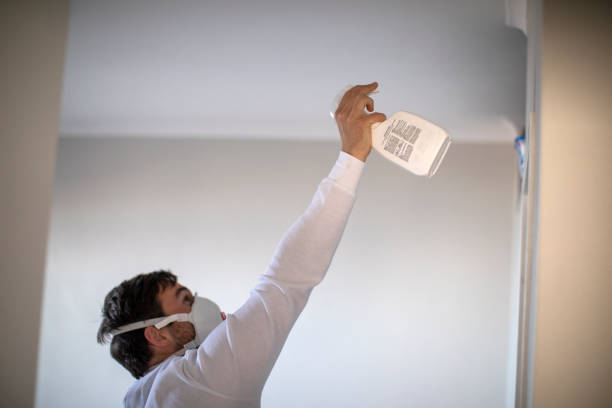 Best Mold Removal Company Near Me  in Monte Alto, TX