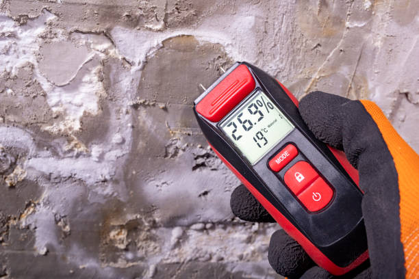 Best Residential Mold Removal  in Monte Alto, TX